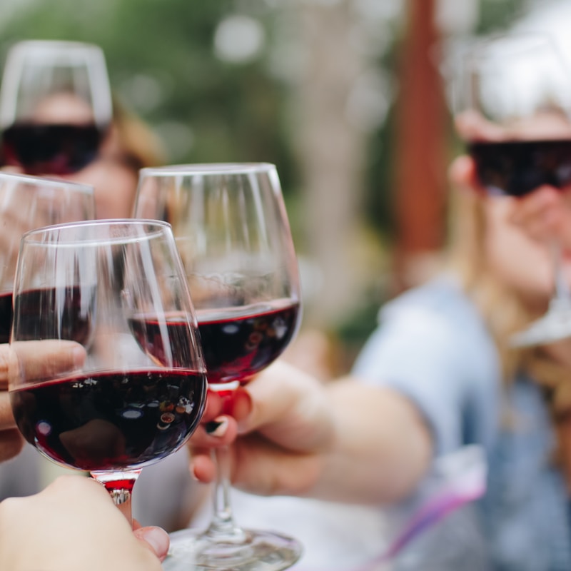 Plavac Mali vrhunsko vino 0.75L